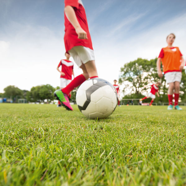 Branchenpaket für Vereine, Stiftungen und gGmbHs