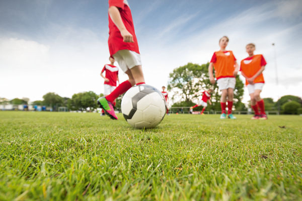 Vereine, Stiftungen und gGmbHs