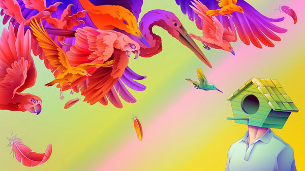 Illustartion Mensch mit Vogelhauskopf