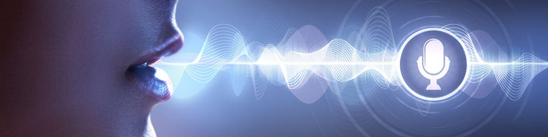 Ein vorgeschaltetes digitales Sprachassistenz-System im telefonischen Kundensupport.