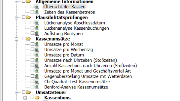 DATEV Datenprüfung: Screenshot der Kassenprüfschritte.