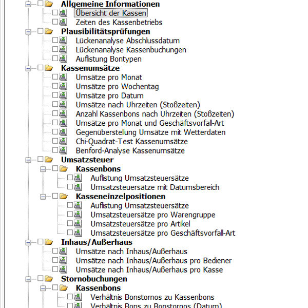DATEV Datenprüfung: Screenshot der Kassenprüfschritte.