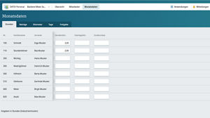 Monatsdaten erfassen 