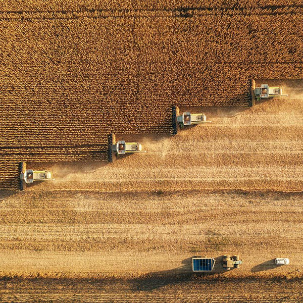 Vogelperspektive Acker