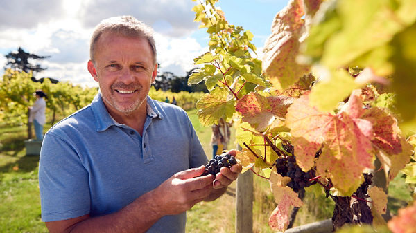 Weinbauer zwischen Reben