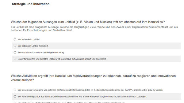 Muster: Online-Fragebogen