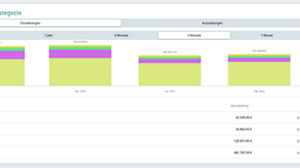 Analyse: Bankumsätze nach Kategorie
