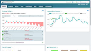 Darstellung der liquiden Mittel