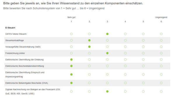 Auszug Online-Fragebogen