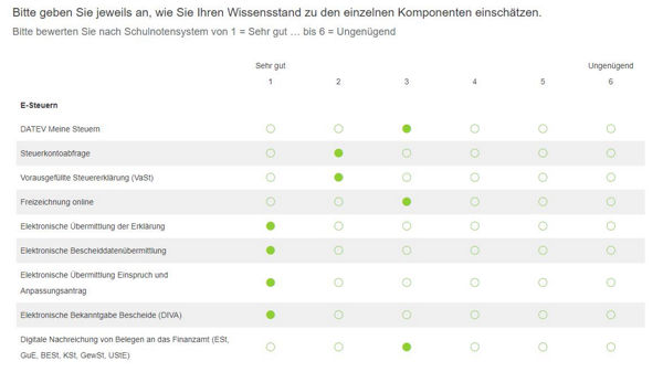 Auszug Online-Fragebogen