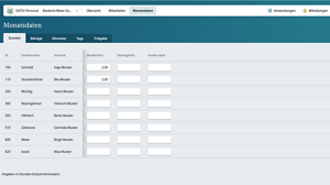Monatsdaten erfassen