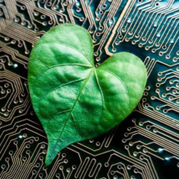 Grünes, herzförmiges Blatt liegt auf einer Platine mit sichtbaren Leiterbahnen und elektronischen Bauteilen.