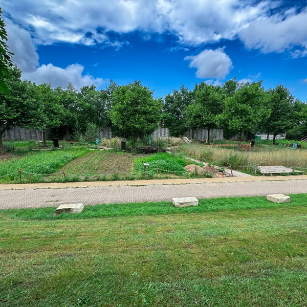 Blick auf eine grüne Gartenanlage mit Gemüsebeeten und Bäumen, darüber blauer Himmel mit weißen Wolken.