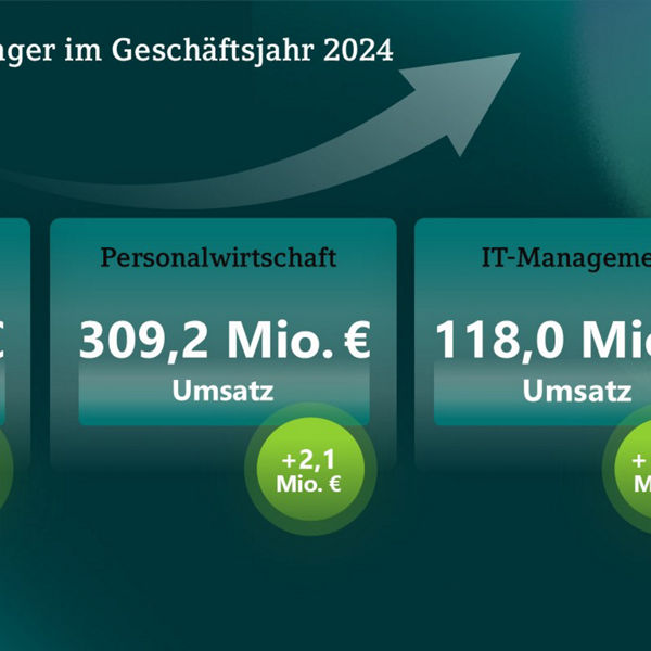 Top 3 Umsatzbringer 2024: Rechnungswesen 541,4 Mio. €, Personalwirtschaft 309,2 Mio. €, IT-Management 118,0 Mio. €.